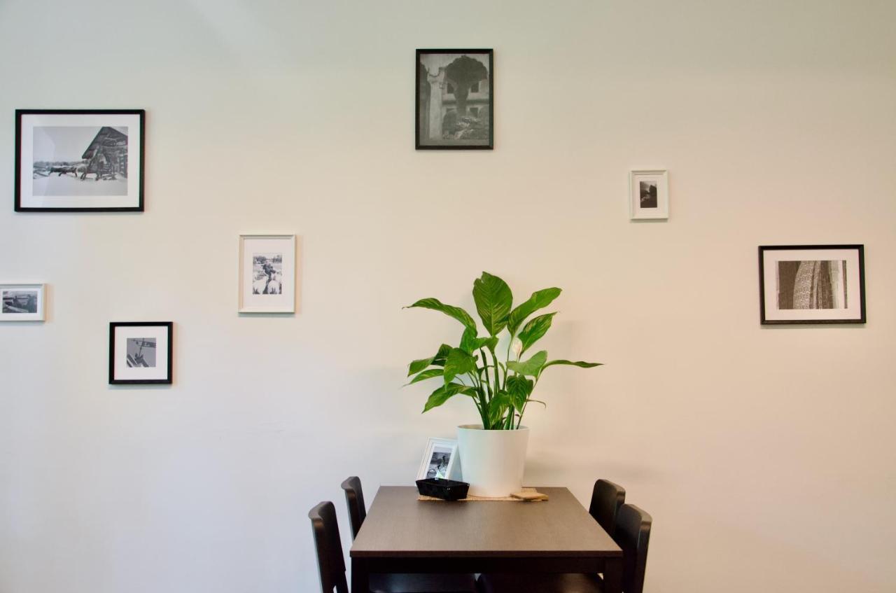 Elephants Apartments 布拉迪斯拉发 外观 照片